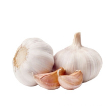 Garlic Chinese wholesale garlic 2021 Fresh New Crop Garlic in bulk for import/export in low price